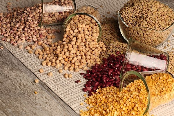 عرضه و خرید کنسرو حبوبات 2