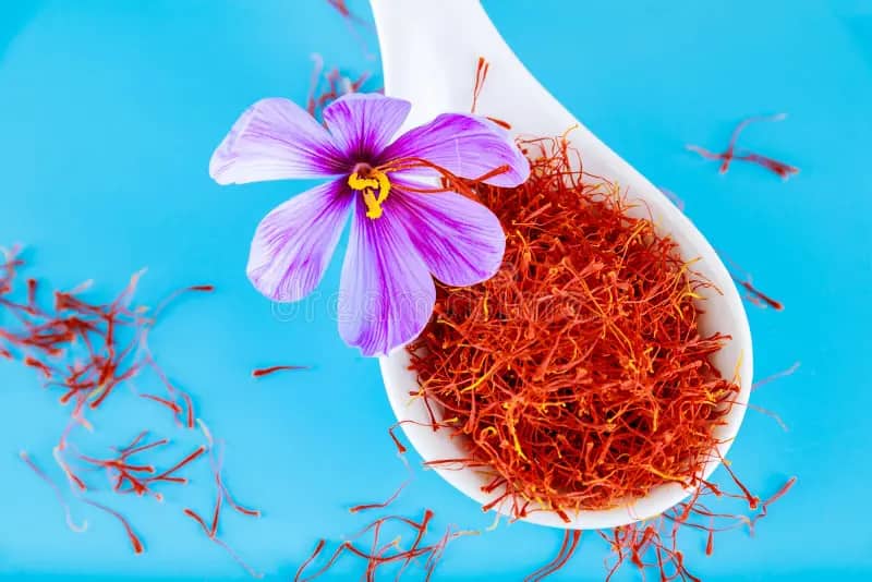خرید زعفران سر گل شکسته + قیمت فروش استثنایی 4
