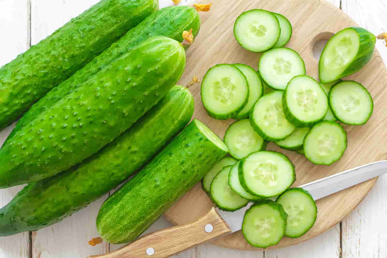 قیمت خیار درختی گلخانه + پخش تولیدی عمده کارخانه