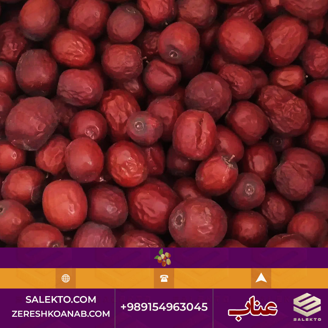 خرید عناب ارگانیک خراسان جنوبی مناسب دمنوش و میان‌ وعده