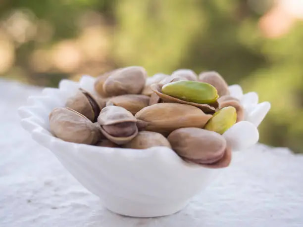 خرید و فروش پسته اکبری فوق اعلا با شرایط فوق العاده 2
