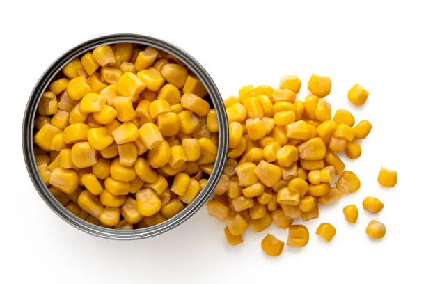 خرید و قیمت کنسرو ذرت شیرین بزرگ + فروش صادراتی 3