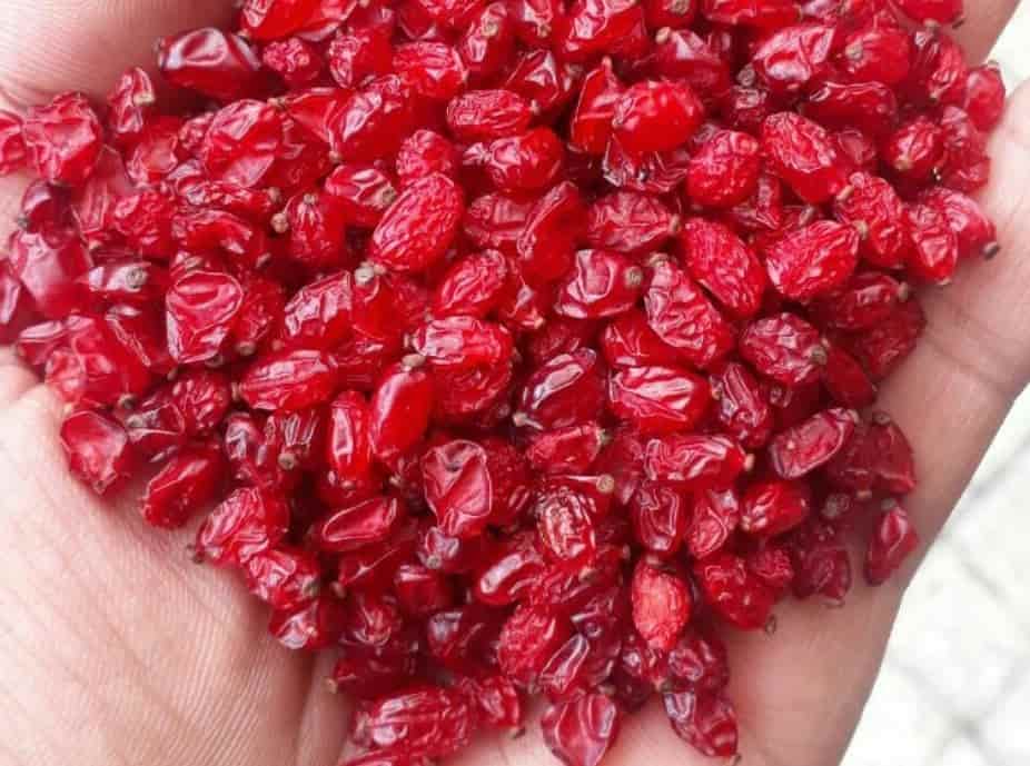 خرید زرشک عمده + قیمت فروش استثنایی