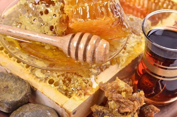 عسل جنگلی وحشی خالص با بستهبندی بهداشتی