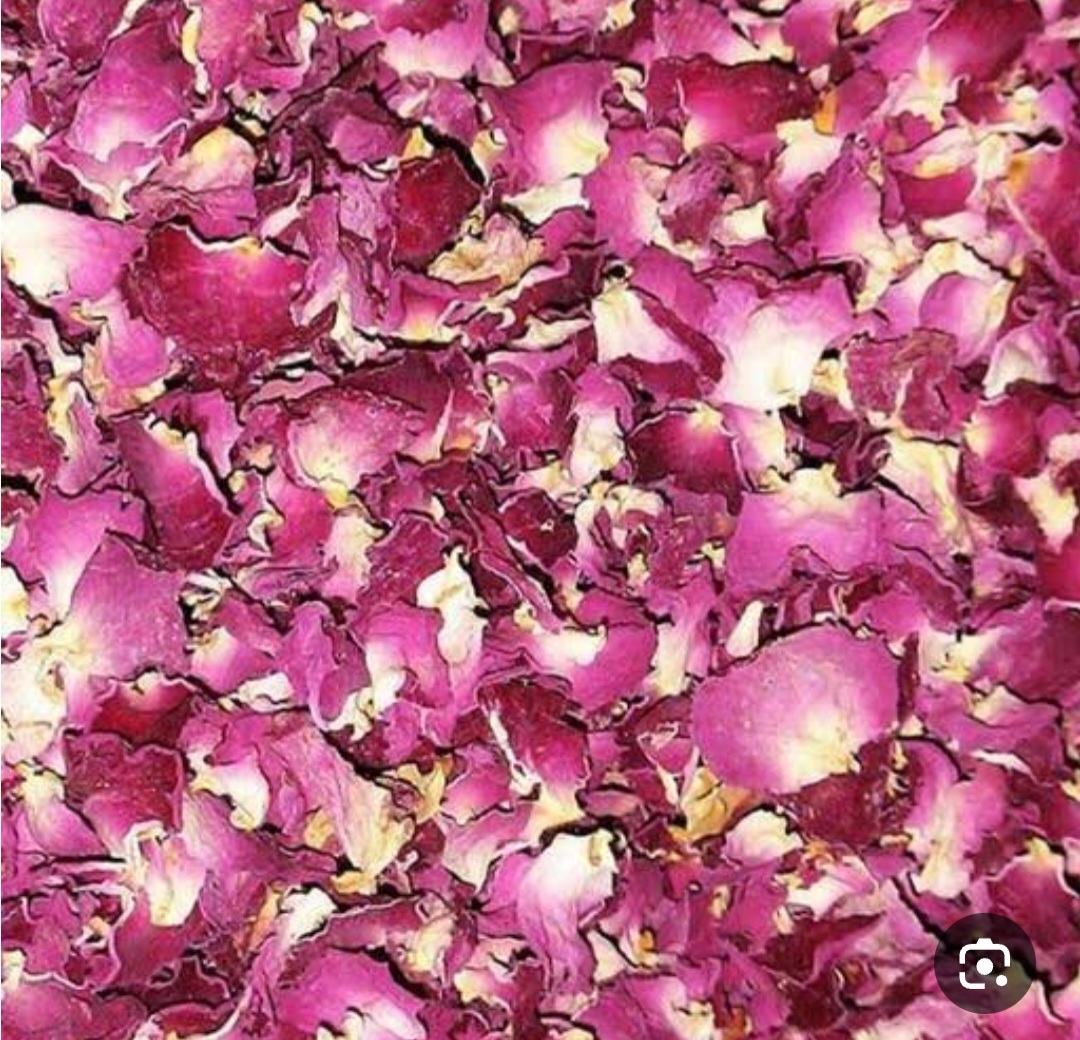 خرید پر گل محمدی تازه دارابی با بهترین کیفیت