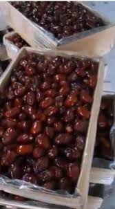 خرما کبکاب صادراتی 5