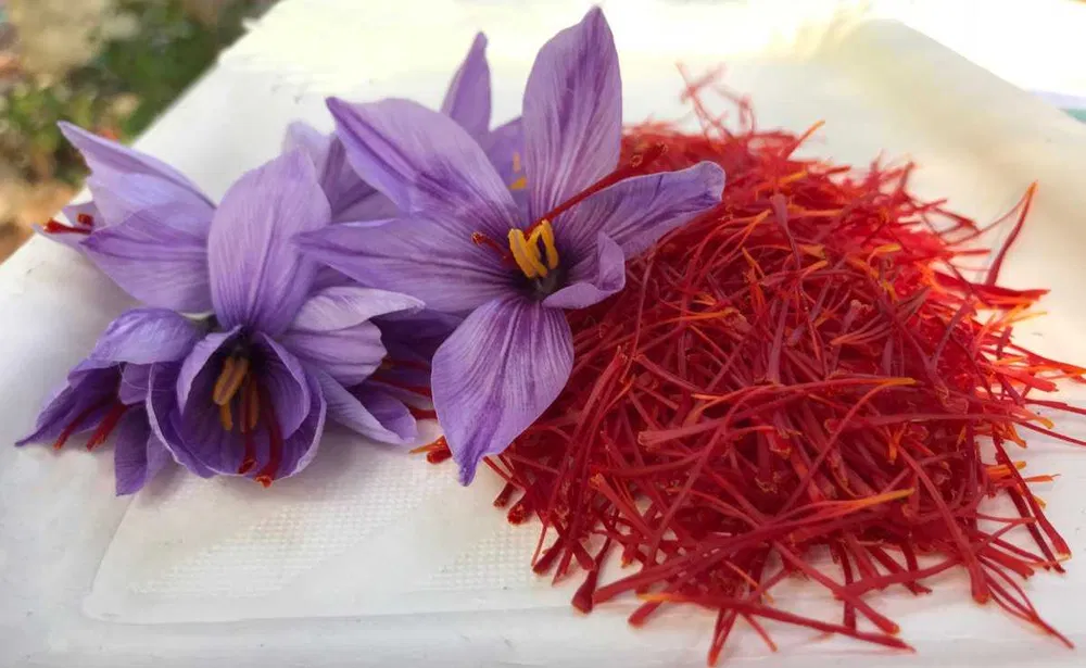 زعفران درجه یک صادراتی با عطری فوق‌ العاده 4