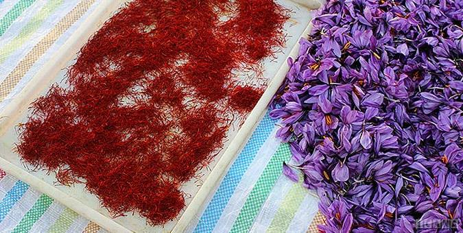 زعفران صدیقی انتخابی عالی برای آشپزی سنتی 2