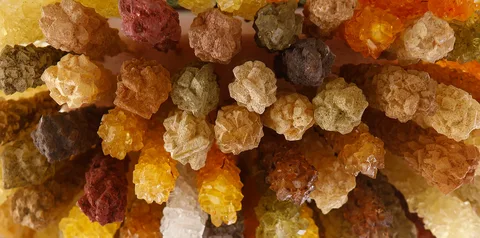 نبات طعم دار گیاهی + کیفیت تضمینی 5