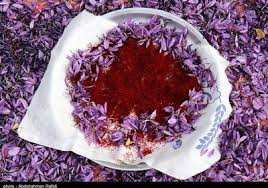 زعفران رشته ای بریده امید خالص با کیفیت عالی
