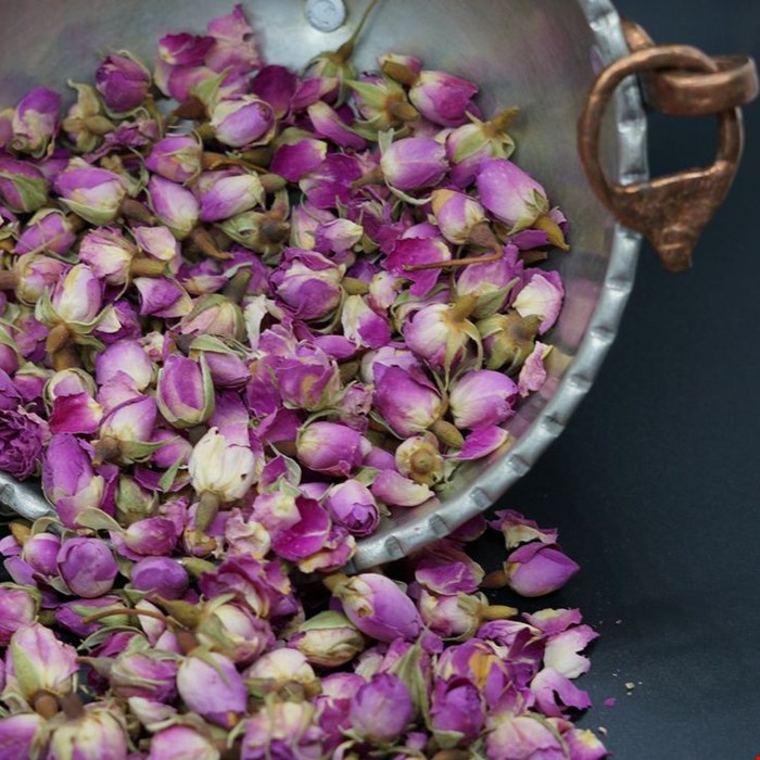 غنچه گل محمدی غنچه گل محمدی تلفیق زیبایی و عطر طبیعی 5