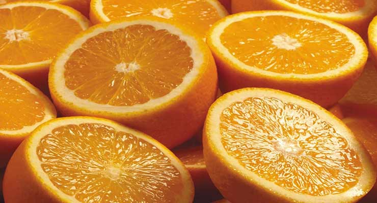 پرتقال آبگیری تازه برداشت شده برای عصاره‌ گیری حرفه‌ ای