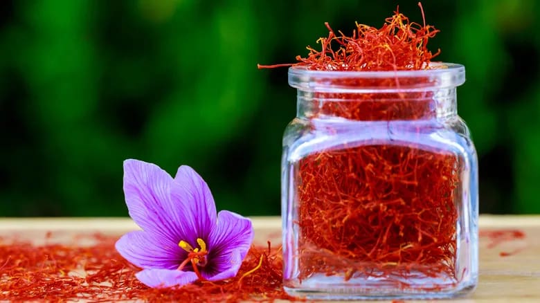 زعفران نیم مثقالی با رشته های درشت و خوش رنگ 2