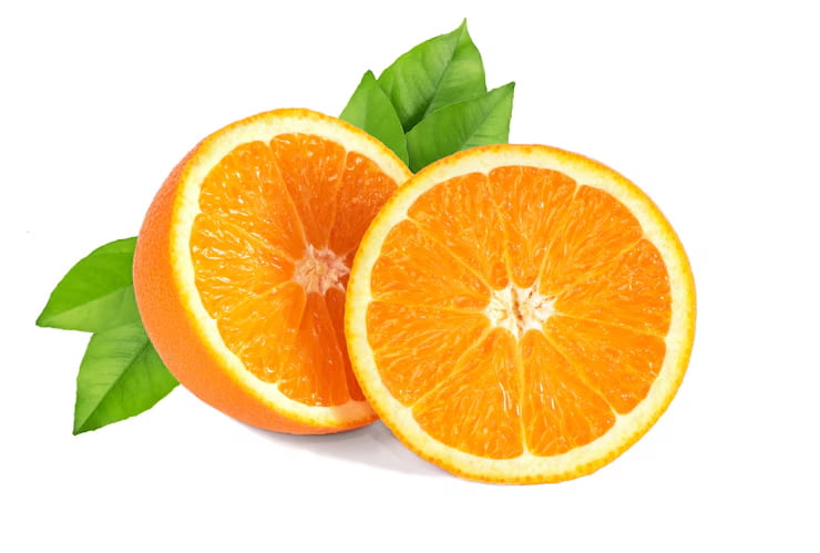 پرتقال یافا با سایز یکنواخت برای بسته‌ بندی و عرضه 3