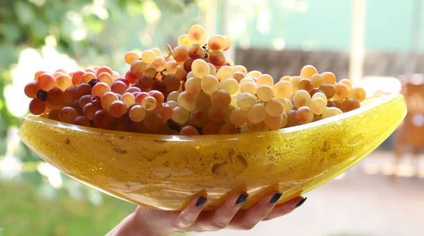 میوه خوری سنگ مصنوعی فرم آزاد بی قاعده