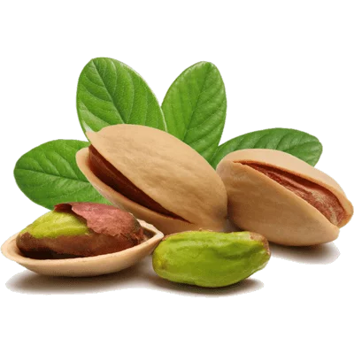 پسته اکبری ممتاز با خندان طبیعی و طعم بینظیر و متفاوت