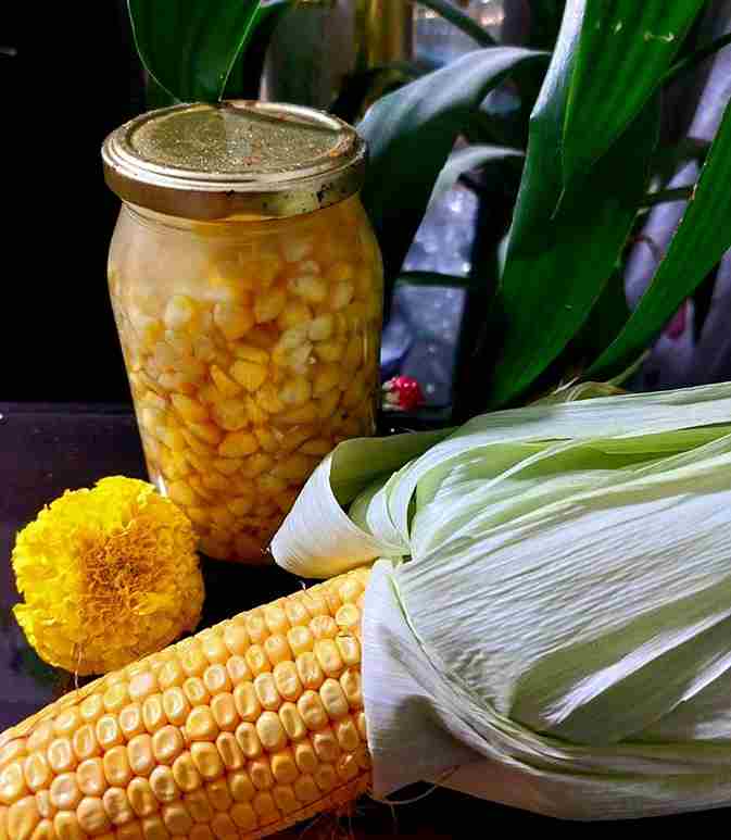 کنسرو ذرت آروم آدا دانه های طلایی خوش رنگ 5