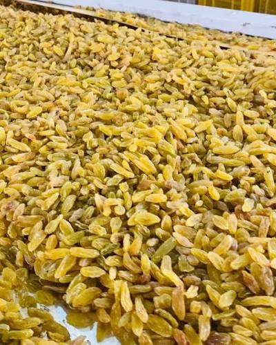 کشمش افغانی با کیفیت مناسب مصارف صادراتی 2