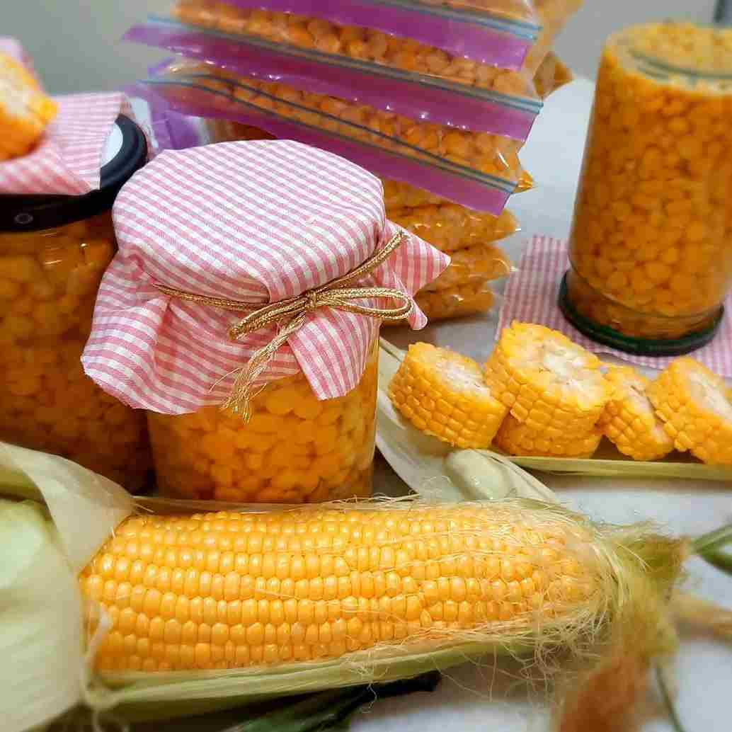 کنسرو ذرت آماده تهیه شده از دانه های مرغوب