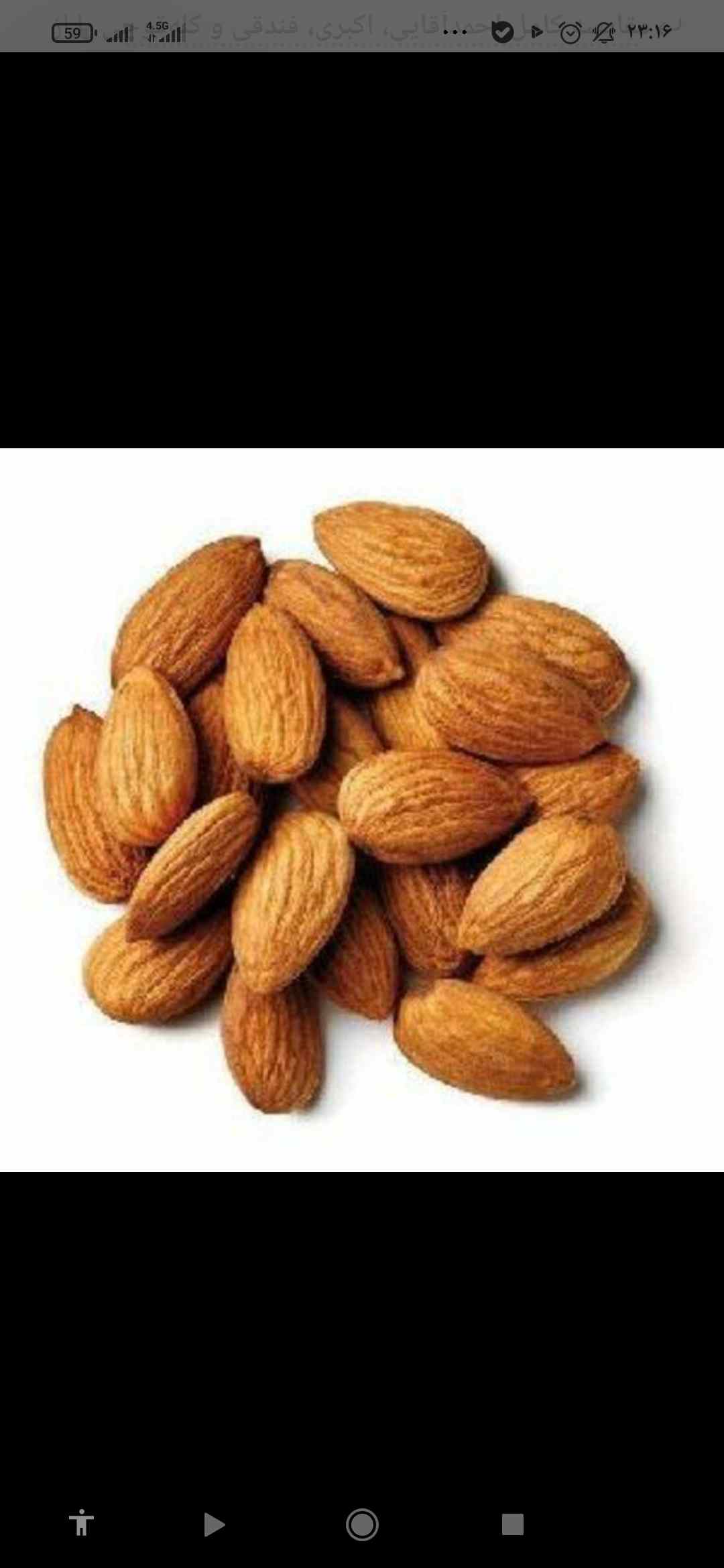 ارزان ترین مغز بادام سنگی 3