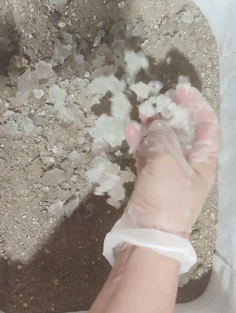 فروش عمده هیدروژل نگهدارنده رطوبت خاک با قیمت مناسب