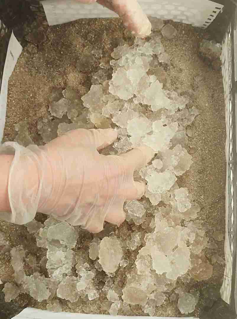 فروش هیدروژل کشاورزی مناسب باغات، فضای سبز و نهال‌کاری