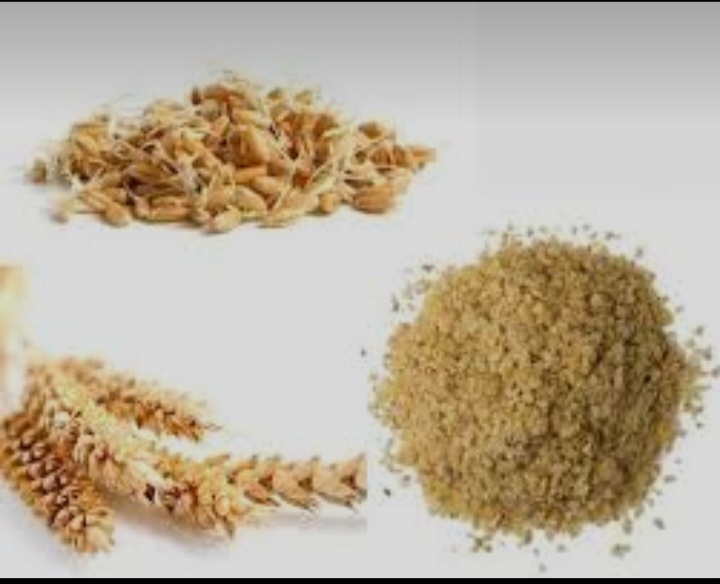 پودر جوانه گندم خالص + عمده وخرده