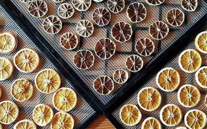 میوه خشک لیمو انتخابی خوش عطر برای دمنوش و میان وعده