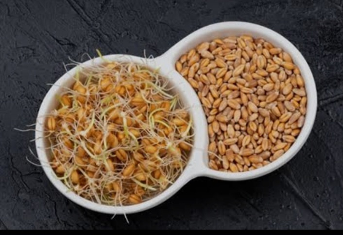 آیا پودر جوانه گندم به کاهش ریزش مو کمک می‌کند؟