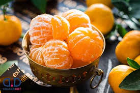 تأمین و فروش عمده کنسانتره نارنگی 2