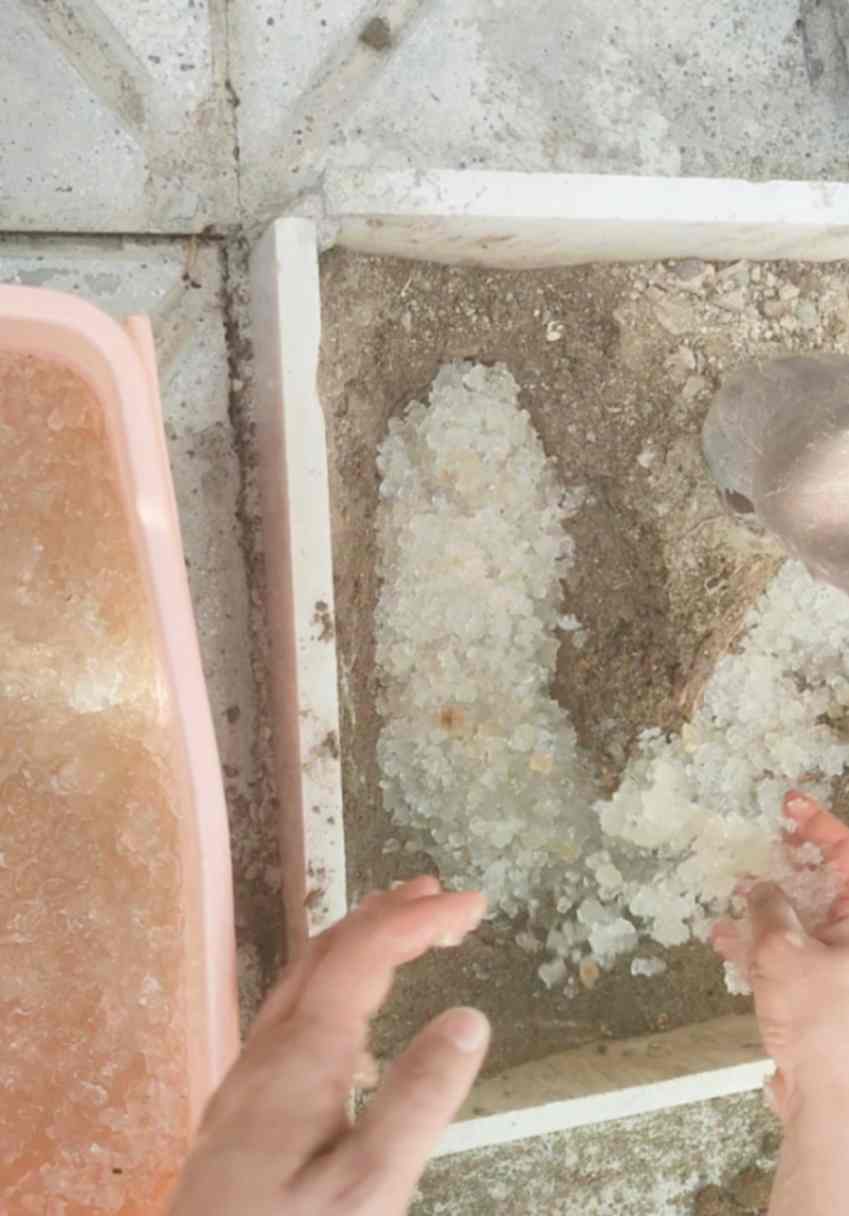 خاک ژله ای کشاورزی؛ ذخیره آب در کنار ریشه گیاه