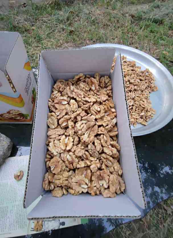 مغز گردو درجه یک مصرف روزانه 3