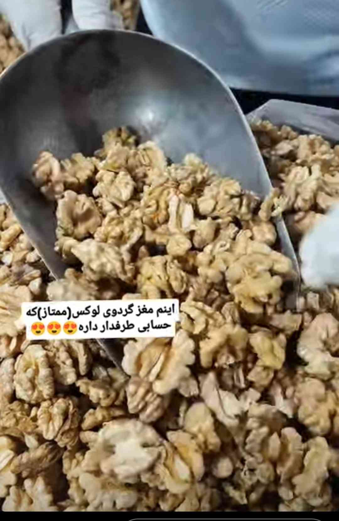 مغز گردو ممتاز تویسرکان