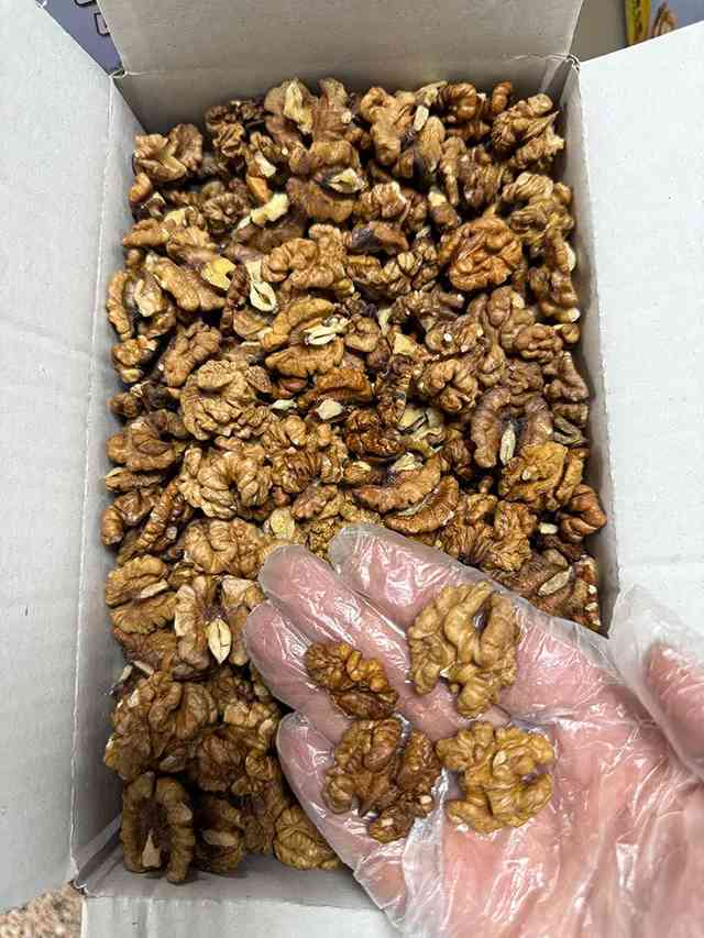 مغز گردو ممتاز تویسرکان 3