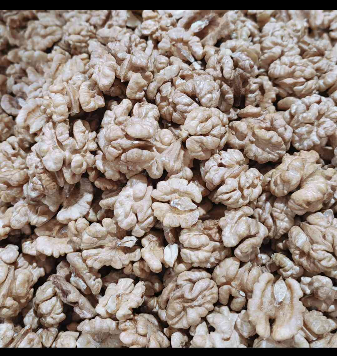 مغز گردو ممتاز تویسرکان 4
