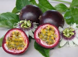 تأمین و فروش عمده کنسانتره میوه گل‌ ساعتی (پشن‌فروت) 5