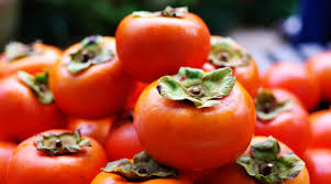 تأمین و فروش عمده کنسانتره خرمالو