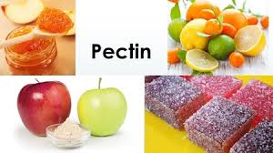 تأمین و فروش عمده پکتین خوراکی 2