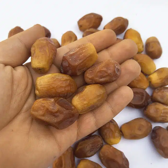 خرما زاهدی قصب طلایی از نخلستانهای منتخب
