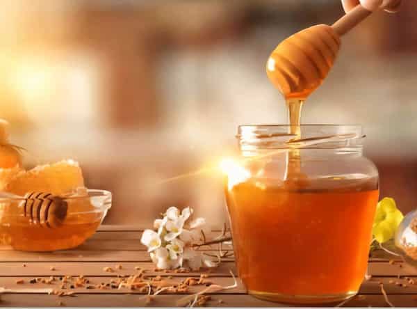 قیمت و خرید عسل سدر + فروش ارزان 5