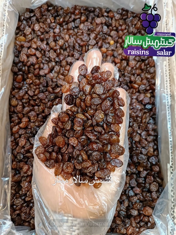 خرید کشمش پلویی از کارخانه 3