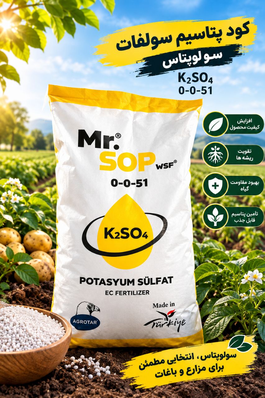 سولو پتاس 0051 به قیمت رقابتی