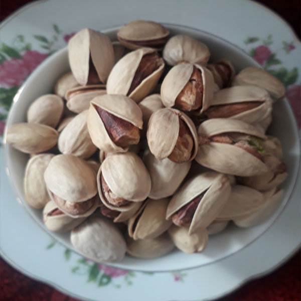 پسته کله قوچی با مغز سنگین و دانه های درشت + قیمت و خرید عمده