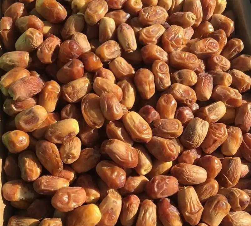 خرید و قیمت خرما زاهدی صادراتی