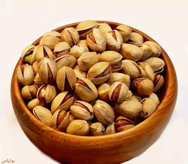 پسته فندقی شور زعفرانی + گزینه ای متفاوت برای مصرف کنندگان + قیمت و خرید عمده
