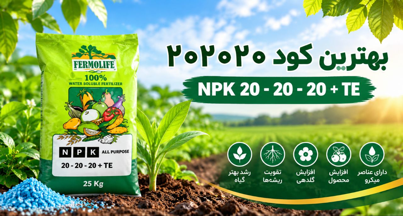 کود npk 202020 تھران با قیمت رقابتی
