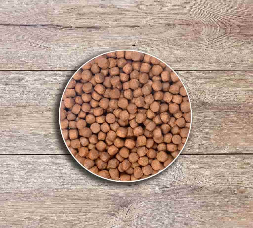 خوراک ماهی کپور پرورشی در بسته بندی های متنوع