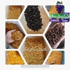 صادرات کشمش پلویی کارخانه 6