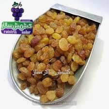 عقد قرارداد کشمش پلویی