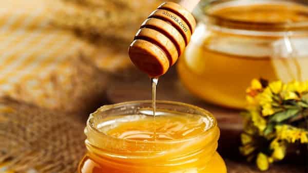 فروش ویژه عسل آفتابگردان